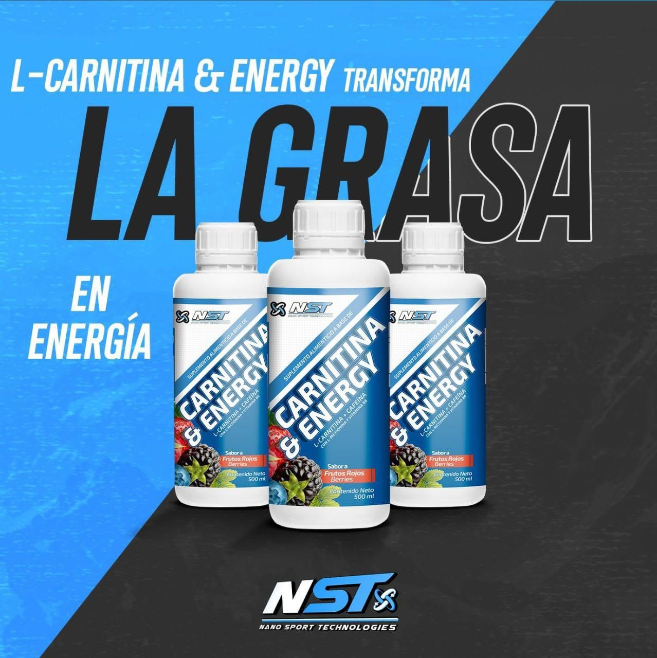 Nst Carnitina & Energy 33 Servicios