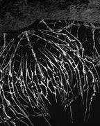 Breathedivinity Spider-Corpse Oversized T-Shirt Void Black